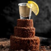 A chocolate cake shot with a slice of lemon on top of a mini tiered chocolate cake.