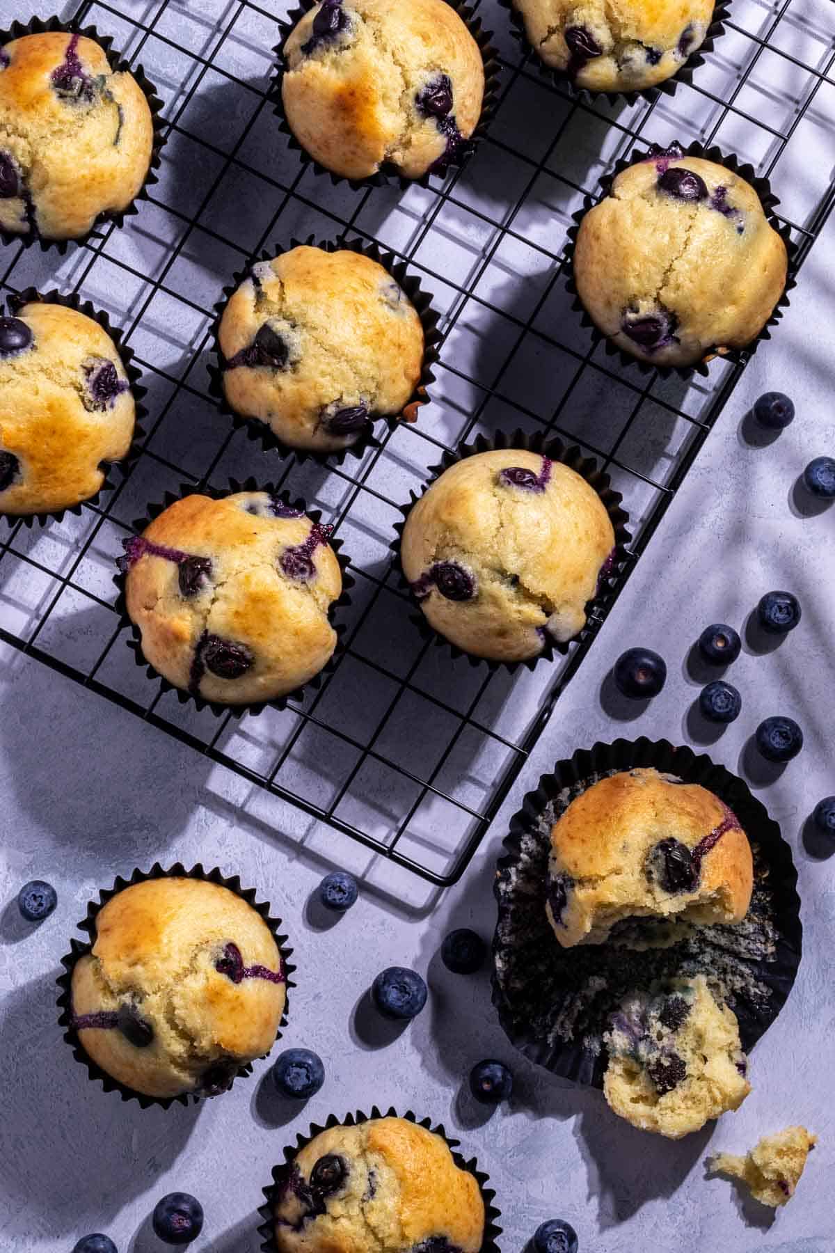 Blueberry muffins on a black wire cooling rack with one blueberry broken open.