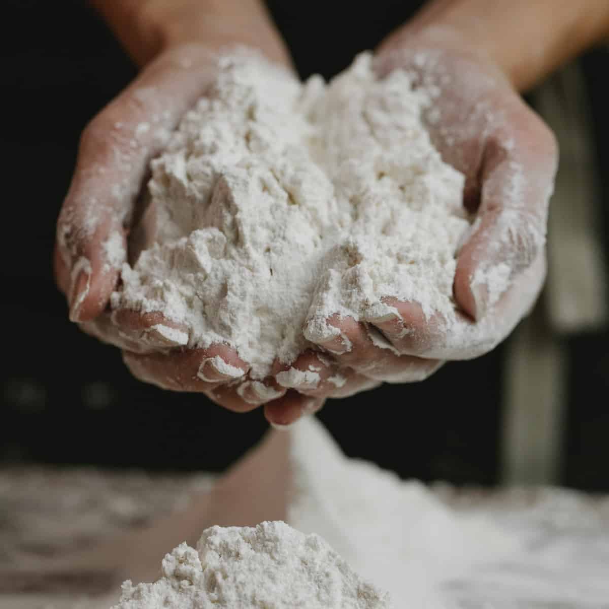 Hands holding flour.