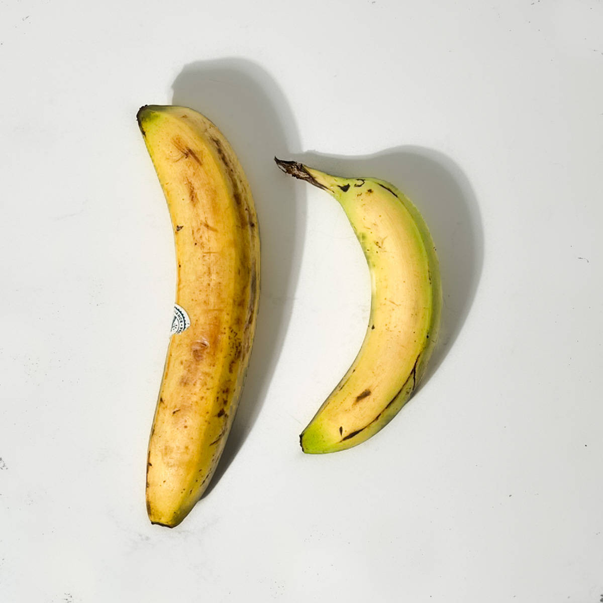Two bananas of different sizes.