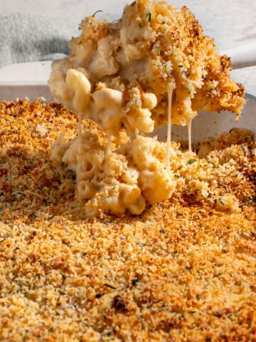 A scoop of baked three cheese mac and cheese with crispy garlic Parmesan crumb topping.